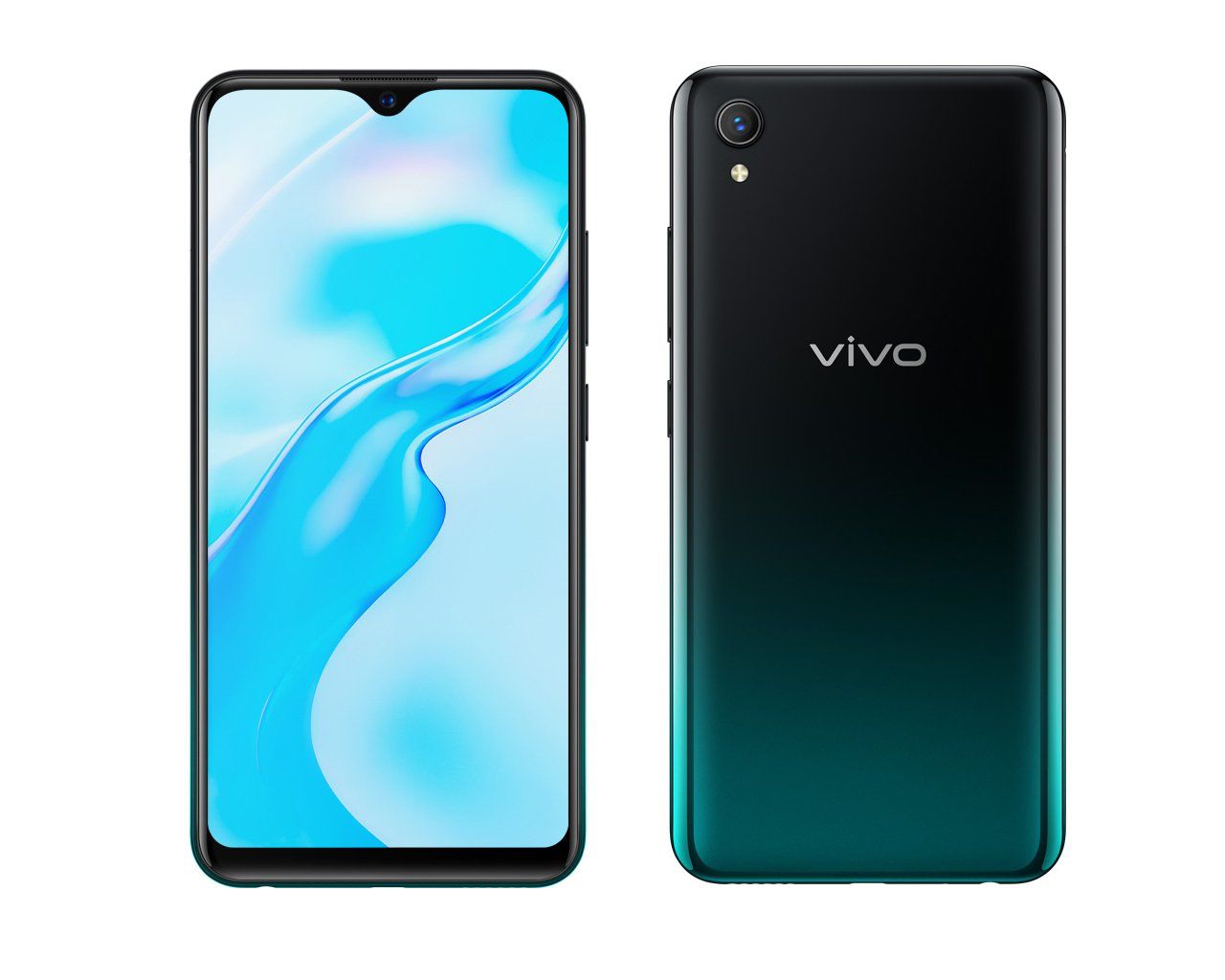 VIVO-Y.jpg?1665736172378