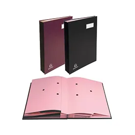 PARAPHEUR EXAC. /CLASS/SIGNATURE 12 D