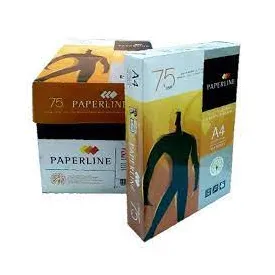 Papier RAM PAPERLINE, Format A4, Qualité Supérieure - Carton de 5 Rame SM0081