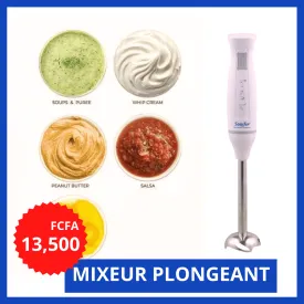 Mixeur Plongeant